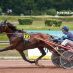 Fortune Turf Vip (4)