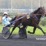 Jolie Turf Gagnant (2)